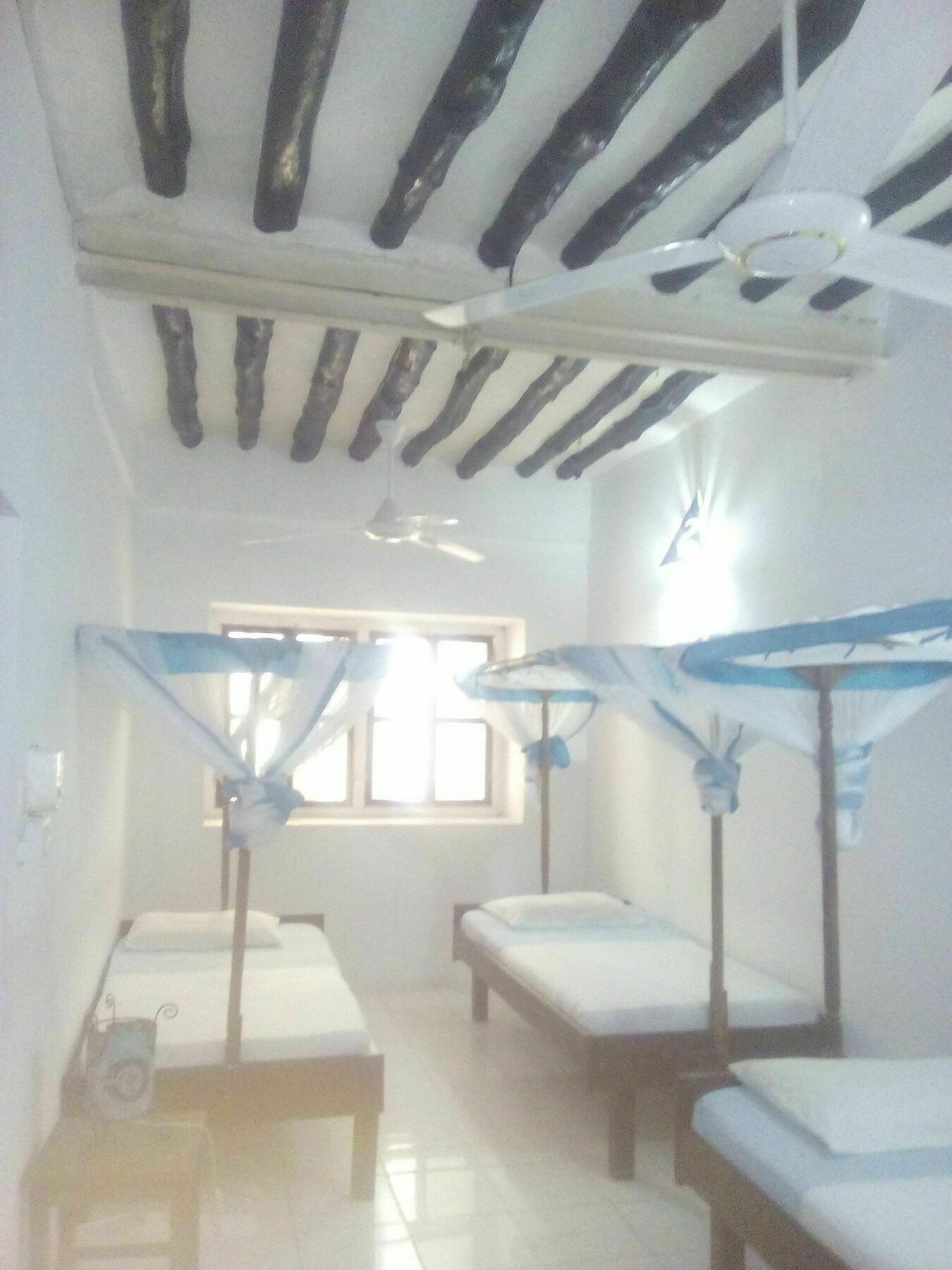 Kiponda B&B Zanzibar Dış mekan fotoğraf